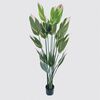 Διακοσμητικό φυτό σε γλάστρα Lucky Inart πράσινο Φ80x180εκ - ΤΕΧΝΗΤΑ ΦΥΤΑ στο Milonadakis.gr