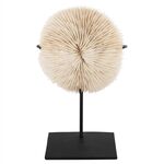 ΕΠΙΤΡΑΠΕΖΙΟ ΔΙΑΚΟΣΜΗΤΙΚΟ HM4273 ΚΟΡΑΛΙ ΣΕ ΦΥΣΙΚΟ-ΜΑΥΡΗ ΜΕΤΑΛΛΙΚΗ ΒΑΣΗ 8x8x16Υ εκ. - ΑΝΤΙΚΕΙΜΕΝΑ στο Milonadakis.gr