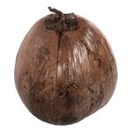 ΕΠΙΤΡΑΠΕΖΙΟ ΔΙΑΚΟΣΜΗΤΙΚΟ HM4326.01 ΚΑΡΥΔΑ ΣΕ ΦΥΣΙΚΟ ΧΡΩΜΑ 20x20x20Υεκ - ΑΝΤΙΚΕΙΜΕΝΑ στο Milonadakis.gr