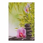 ΠΙΝΑΚΑΣ ΚΑΜΒΑΣ FLOWER HM7154.08 60X90X2.5 εκ. - ΠΙΝΑΚΕΣ στο Milonadakis.gr