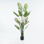 Διακοσμητικό φυτό σε γλάστρα Aglaonema Inart πράσινο Φ80x150εκ - ΤΕΧΝΗΤΑ ΦΥΤΑ στο Milonadakis.gr