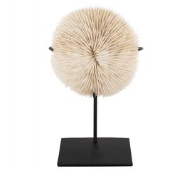 ΕΠΙΤΡΑΠΕΖΙΟ ΔΙΑΚΟΣΜΗΤΙΚΟ HM4273 ΚΟΡΑΛΙ ΣΕ ΦΥΣΙΚΟ-ΜΑΥΡΗ ΜΕΤΑΛΛΙΚΗ ΒΑΣΗ 8x8x16Υ εκ. - ΑΝΤΙΚΕΙΜΕΝΑ στο Milonadakis.gr