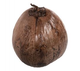 ΕΠΙΤΡΑΠΕΖΙΟ ΔΙΑΚΟΣΜΗΤΙΚΟ HM4326.01 ΚΑΡΥΔΑ ΣΕ ΦΥΣΙΚΟ ΧΡΩΜΑ 20x20x20Υεκ - ΑΝΤΙΚΕΙΜΕΝΑ στο Milonadakis.gr