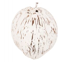 ΕΠΙΤΡΑΠΕΖΙΟ ΔΙΑΚΟΣΜΗΤΙΚΟ HM4326.05 ΚΑΡΥΔΑ ΣΕ ΛΕΥΚΟ ΧΡΩΜΑ 20x20x20Υεκ - ΑΝΤΙΚΕΙΜΕΝΑ στο Milonadakis.gr