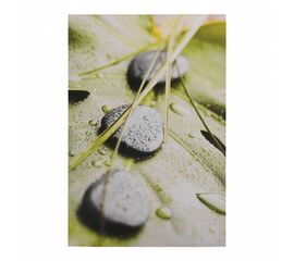 ΠΙΝΑΚΑΣ ΚΑΜΒΑΣ STONES HM7154.10 60X90X2.5 εκ. - ΠΙΝΑΚΕΣ στο Milonadakis.gr