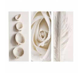 ΠΙΝΑΚΑΣ ΤΡΙΠΤΥΧΟ MDF NATURAL ELEMENTS HM7204.05 60X0,3X50 εκ. - ΠΙΝΑΚΕΣ στο Milonadakis.gr