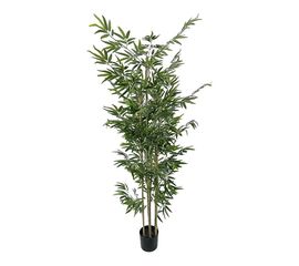 Διακοσμητικό φυτό Bamboo σε γλάστρα Inart πράσινο pp Υ190εκ - ΤΕΧΝΗΤΑ ΦΥΤΑ στο Milonadakis.gr