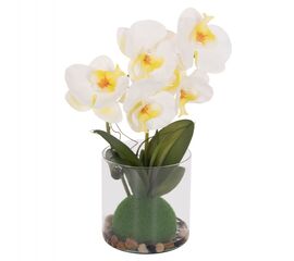 ΔΙΑΚΟΣΜΗΤΙΚΟ ΣΥΝΘΕΤΙΚΟ ΦΥΤΟ HM4738 ΛΟΥΛΟΥΔΙ PHALAENOPSIS ΣΕ ΓΥΑΛΙΝΟ ΒΑΖΟ 12x24x30Υεκ - ΑΝΤΙΚΕΙΜΕΝΑ στο Milonadakis.gr