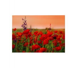 ΠΙΝΑΚΑΣ TOIXOY ΣΕΙΡΑ GOBI HM4760 ΕΚΤΥΠΩΜΕΝΟΣ ΚΑΜΒΑΣ 70x3(πάχος)x50Υεκ. - ΠΙΝΑΚΕΣ στο Milonadakis.gr