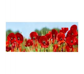 ΠΙΝΑΚΑΣ TOIXOY ΣΕΙΡΑ GOBI HM4786 ΕΚΤΥΠΩΜΕΝΟΣ ΚΑΜΒΑΣ 120x3(πάχος)x50Υεκ. - ΠΙΝΑΚΕΣ στο Milonadakis.gr