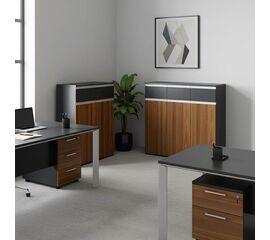 Ντουλάπια γραφείου επαγγελματικά Oscar pakoworld καρυδί-ανθρακί 200x40x120εκ - ΝΤΟΥΛΑΠΙΑ στο Milonadakis.gr