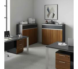 Ντουλάπια γραφείου επαγγελματικά Oscar pakoworld καρυδί-ανθρακί 240x40x120εκ - ΝΤΟΥΛΑΠΙΑ στο Milonadakis.gr