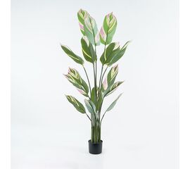 Διακοσμητικό φυτό σε γλάστρα Aglaonema Inart πράσινο Φ80x150εκ - ΤΕΧΝΗΤΑ ΦΥΤΑ στο Milonadakis.gr