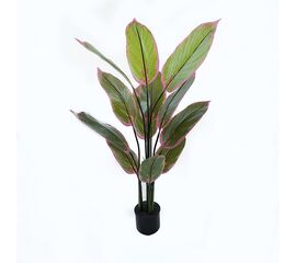 Διακοσμητικό φυτό σε γλάστρα Calathea Inart πράσινο Φ68x120εκ - ΤΕΧΝΗΤΑ ΦΥΤΑ στο Milonadakis.gr