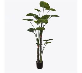 Διακοσμητικό φυτό σε γλάστρα Taro Plant Inart πράσινο Φ90x180εκ - ΤΕΧΝΗΤΑ ΦΥΤΑ στο Milonadakis.gr