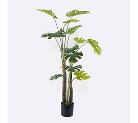 Διακοσμητικό φυτό σε γλάστρα Deliciosa I Inart πράσινο Φ90x160εκ - ΤΕΧΝΗΤΑ ΦΥΤΑ στο Milonadakis.gr