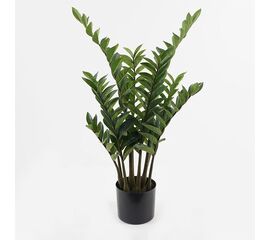 Διακοσμητικό φυτό σε γλάστρα Zamia Inart πράσινο Φ52x88εκ - ΤΕΧΝΗΤΑ ΦΥΤΑ στο Milonadakis.gr