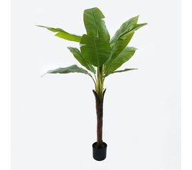 Διακοσμητικό φυτό σε γλάστρα Musa Inart πράσινο Φ105x180εκ - ΤΕΧΝΗΤΑ ΦΥΤΑ στο Milonadakis.gr