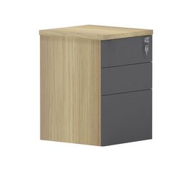 Συρταριέρα επαγγελματική τροχήλατη Lotus pakoworld 3ων συρταριών σε φυσική-ανθρακί απόχρωση 40x44x61εκ - ΣΥΡΤΑΡΙΕΡΕΣ στο Milonadakis.gr