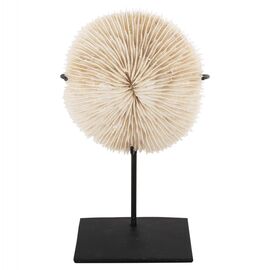 ΕΠΙΤΡΑΠΕΖΙΟ ΔΙΑΚΟΣΜΗΤΙΚΟ HM4273 ΚΟΡΑΛΙ ΣΕ ΦΥΣΙΚΟ-ΜΑΥΡΗ ΜΕΤΑΛΛΙΚΗ ΒΑΣΗ 8x8x16Υ εκ. - ΑΝΤΙΚΕΙΜΕΝΑ στο Milonadakis.gr