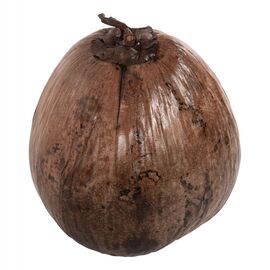 ΕΠΙΤΡΑΠΕΖΙΟ ΔΙΑΚΟΣΜΗΤΙΚΟ HM4326.01 ΚΑΡΥΔΑ ΣΕ ΦΥΣΙΚΟ ΧΡΩΜΑ 20x20x20Υεκ - ΑΝΤΙΚΕΙΜΕΝΑ στο Milonadakis.gr