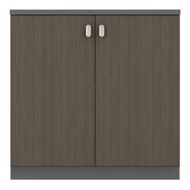 Ντουλάπι γραφείου επαγγελματικό χαμηλό Denith pakoworld ανθρακί-καρυδί  80x40x80εκ - ΝΤΟΥΛΑΠΙΑ στο Milonadakis.gr