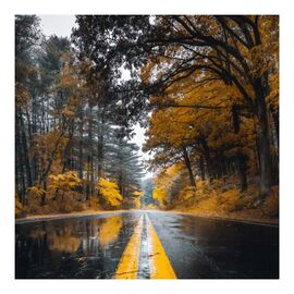 Πίνακας σε καμβά Savgone pakoworld ψηφιακής εκτύπωσης 50x1.8x50εκ - ΠΙΝΑΚΕΣ στο Milonadakis.gr