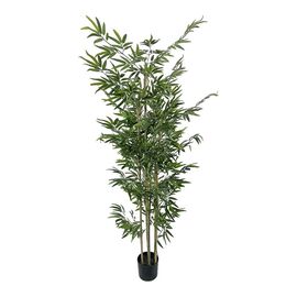 Διακοσμητικό φυτό Bamboo σε γλάστρα Inart πράσινο pp Υ190εκ - ΤΕΧΝΗΤΑ ΦΥΤΑ στο Milonadakis.gr