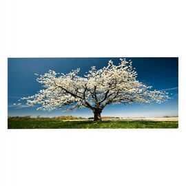 ΠΙΝΑΚΑΣ TOIXOY ΣΕΙΡΑ GOBI HM4792 ΕΚΤΥΠΩΜΕΝΟΣ ΚΑΜΒΑΣ 120x3(πάχος)x50Υεκ. - ΠΙΝΑΚΕΣ στο Milonadakis.gr