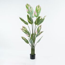 Διακοσμητικό φυτό σε γλάστρα Aglaonema Inart πράσινο Φ80x150εκ - ΤΕΧΝΗΤΑ ΦΥΤΑ στο Milonadakis.gr