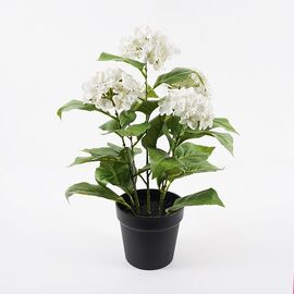 Διακοσμητικό φυτό σε γλάστρα Hydrangea Inart λευκό Φ35x50εκ - ΤΕΧΝΗΤΑ ΦΥΤΑ στο Milonadakis.gr