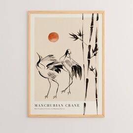 Πίνακας Birdo pakoworld με ψηφιακή εκτύπωση και πλαίσιο 33x1.5x48εκ - ΠΙΝΑΚΕΣ στο Milonadakis.gr