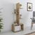 ΒΙΒΛΙΟΘΗΚΗ TRIVIO HM18195.03 ΜΕΛΑΜΙΝΗ ΣΕ ΛΕΥΚΟ-ATLANTIS GREEN 50x25x127Υεκ. - ΒΙΒΛΙΟΘΗΚΕΣ στο Milonadakis.gr