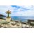 HELEN OLIVE GREEN 60Χ60X74εκ. ΤΡΑΠΕΖΙ ΠΤΥΣ/ΝΟ ΠΟΛ/ΝΙΟΥ - ΤΡΑΠΕΖΙΑ ΕΞ. ΧΩΡΟΥ στο Milonadakis.gr