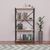 Βιβλιοθήκη Jackrey pakoworld oak-μαύρο μελαμίνης 60x30x114εκ - ΒΙΒΛΙΟΘΗΚΕΣ στο Milonadakis.gr