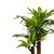 Διακοσμητικό φυτό  Dracaena σε γλάστρα Inart πράσινο pp Υ110εκ - ΤΕΧΝΗΤΑ ΦΥΤΑ στο Milonadakis.gr