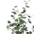 Διακοσμητικό φυτό Eucalyptus σε γλάστρα Inart πράσινο pp Υ120εκ - ΤΕΧΝΗΤΑ ΦΥΤΑ στο Milonadakis.gr