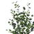 Διακοσμητικό φυτό Eucalyptus Ι σε γλάστρα Inart πράσινο pp Υ150εκ - ΤΕΧΝΗΤΑ ΦΥΤΑ στο Milonadakis.gr