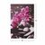 ΠΙΝΑΚΑΣ ΚΑΜΒΑΣ PINK ORCHID HM7154.12 60X90X2.5 εκ. - ΠΙΝΑΚΕΣ στο Milonadakis.gr