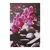 ΠΙΝΑΚΑΣ ΚΑΜΒΑΣ PINK ORCHID HM7154.12 60X90X2.5 εκ. - ΠΙΝΑΚΕΣ στο Milonadakis.gr