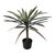 Διακοσμητικό φυτό Dracaena palm σε γλάστρα Inart πράσινο pp Υ62εκ - ΤΕΧΝΗΤΑ ΦΥΤΑ στο Milonadakis.gr