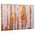 ΠΙΝΑΚΑΣ TOIXOY ΣΕΙΡΑ GOBI HM4784 ΕΚΤΥΠΩΜΕΝΟΣ ΚΑΜΒΑΣ 98x2,5(πάχος)x68Υεκ. - ΠΙΝΑΚΕΣ στο Milonadakis.gr