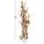 ΚΑΛΟΓΕΡΟΣ HM9367 ΑΠΟ ΜΑΣΙΦ ΞΥΛΟ TEAK ΦΥΣΙΚΟ 36x30x183Υεκ. - ΚΑΛΟΓΕΡΟΙ - ΚΡΕΜΑΣΤΡΕΣ στο Milonadakis.gr