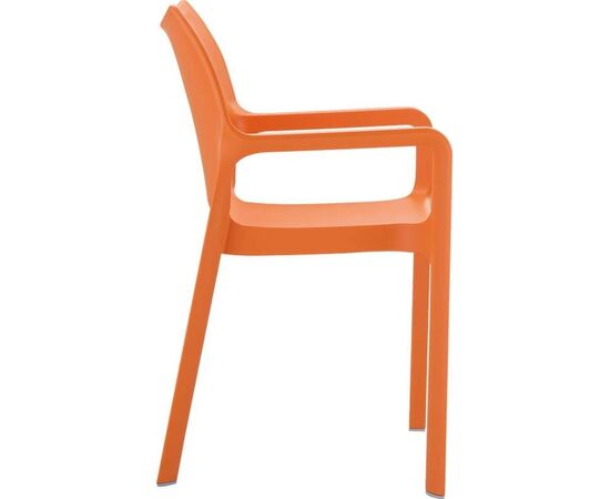 DIVA ORANGE(Σ22)ΠΟΛΥΘΡΟΝΑ ΠΟΛ/ΝΙΟΥ - ΚΑΡΕΚΛΕΣ - ΠΟΛΥΘΡΟΝΕΣ στο Milonadakis.gr