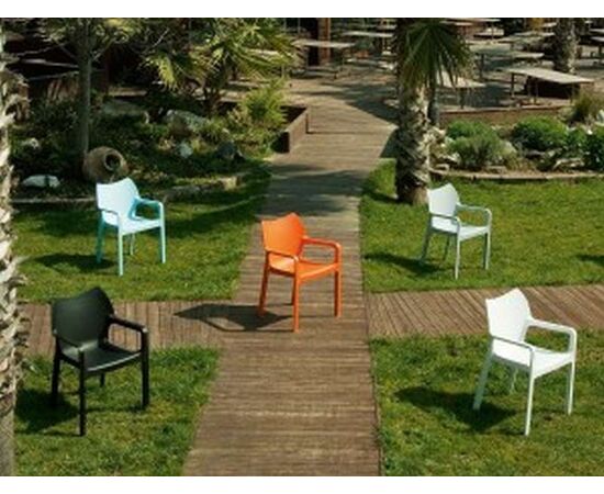 DIVA TROPICAL GREEN(Σ22)ΠΟΛΥΘΡΟΝΑ ΠΟΛ/ΝΙΟΥ - ΚΑΡΕΚΛΕΣ - ΠΟΛΥΘΡΟΝΕΣ στο Milonadakis.gr