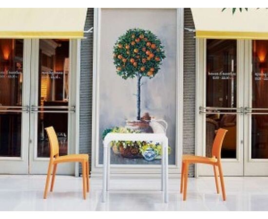MAYA ΚΑΡΕΚΛΑ ORANGE(22)ΠΟΛ/ΝΙΟΥ - ΚΑΡΕΚΛΕΣ - ΠΟΛΥΘΡΟΝΕΣ στο Milonadakis.gr