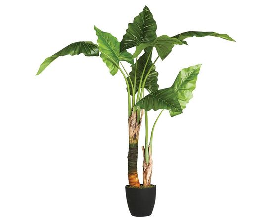 Φυτό σε γλάστρα Jovan pakoworld 125x100x124εκ - ΤΕΧΝΗΤΑ ΦΥΤΑ στο Milonadakis.gr