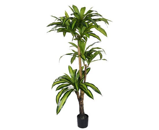 Διακοσμητικό φυτό Dracaena I σε γλάστρα Inart  πράσινο pp Υ170εκ - ΤΕΧΝΗΤΑ ΦΥΤΑ στο Milonadakis.gr