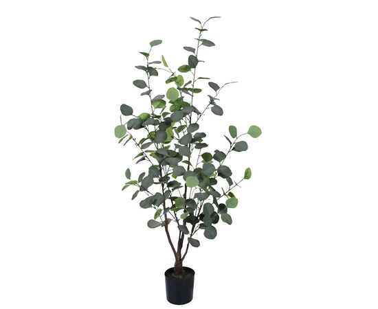 Διακοσμητικό φυτό Eucalyptus σε γλάστρα Inart πράσινο pp Υ120εκ - ΤΕΧΝΗΤΑ ΦΥΤΑ στο Milonadakis.gr