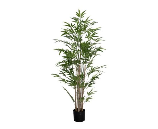 Διακοσμητικό φυτό Bamboo I σε γλάστρα Inart πράσινο pp Υ150εκ - ΤΕΧΝΗΤΑ ΦΥΤΑ στο Milonadakis.gr